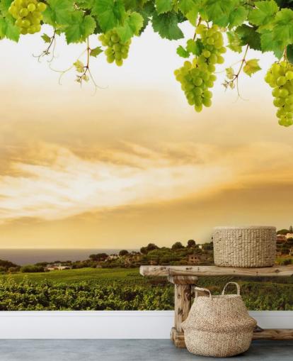 Descargar el fondo de pantalla Vineyard by sea and grapevine