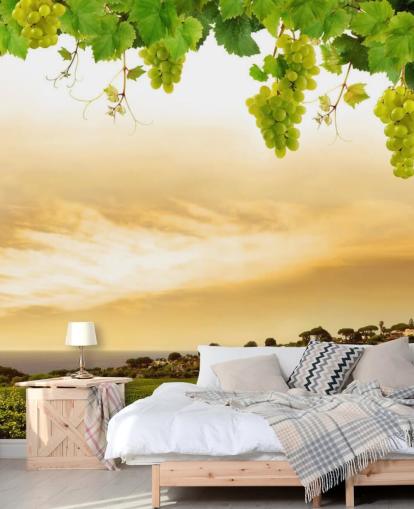 Vineyard by sea and grapevine behang