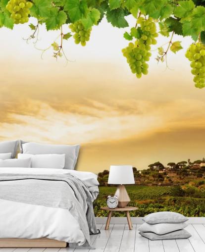 Vineyard by sea and grapevine behang