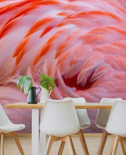 Flamingo Swirl Wall Mural Flamingo Swirl Wall Mural