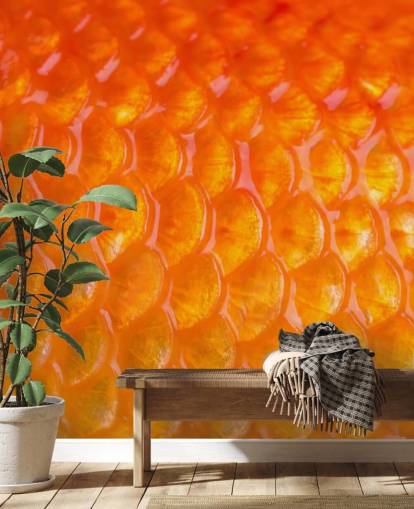 Goldfish Print Wall Mural