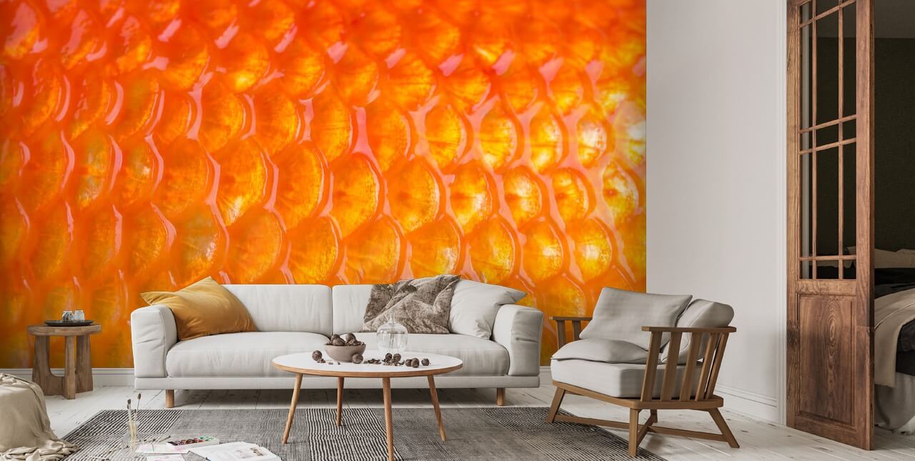 Goldfish Print Wall Mural | Wallsauce UK