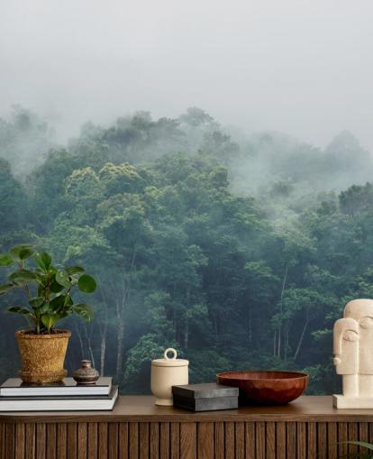 Misty Jungle Wallpaper