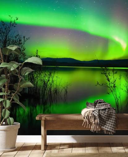 Grønn Nordlys Bakgrunn