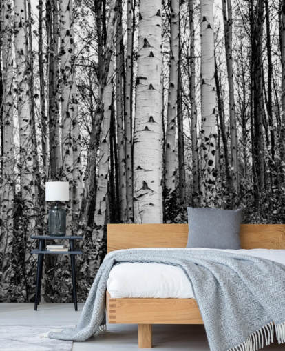 Black and White Birch Trees Wallpaper Black and White Birch Trees Wallpaper