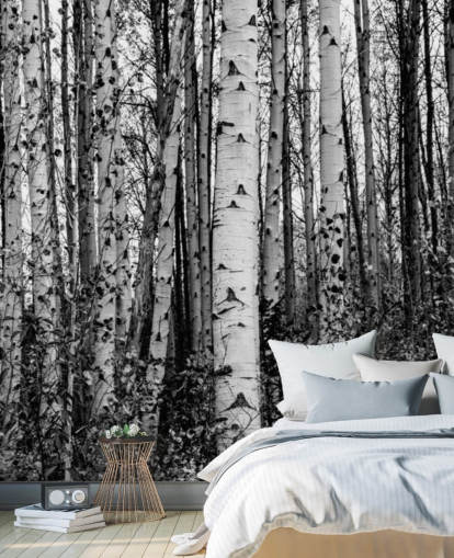 Papel pintado Abedules blancos y negros