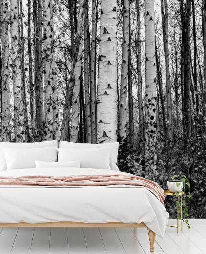 Black and White Birch Trees Wallpaper