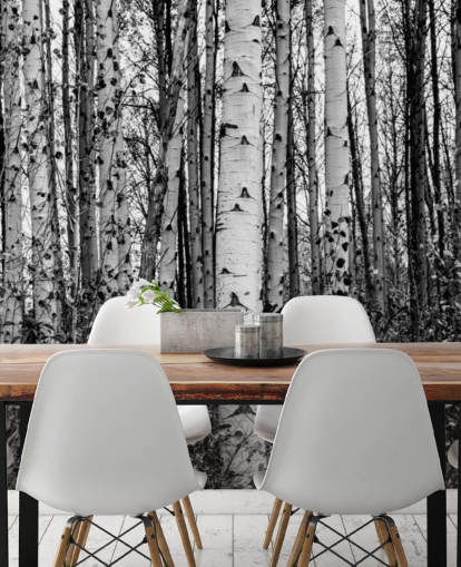 Black and White Birch Trees Wallpaper