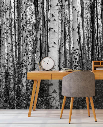 Black and White Birch Trees Wallpaper Black and White Birch Trees Wallpaper