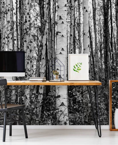 Black and White Birch Trees Wallpaper