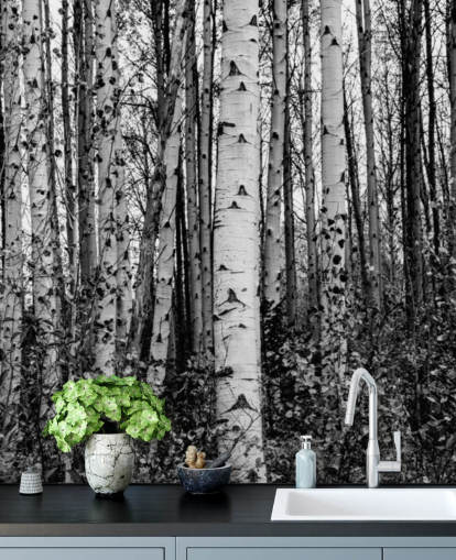 Zwart-witte berkenbomen behang