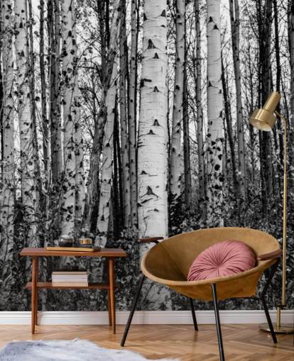 Black and White Birch Trees Wallpaper