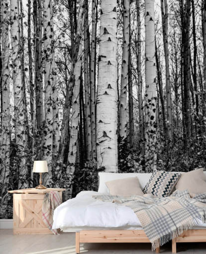 Black and White Birch Trees Wallpaper Black and White Birch Trees Wallpaper