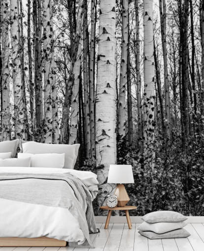 Zwart-witte berkenbomen behang