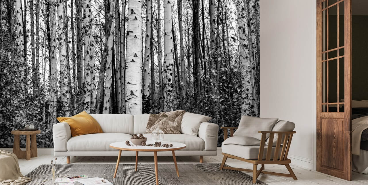 Monochrome Birch Trees Wallpaper | Wallsauce US