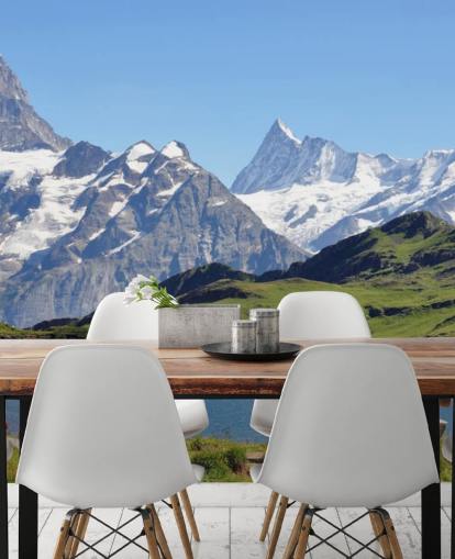 Snow Capped Mountain and Lake Wall Mural