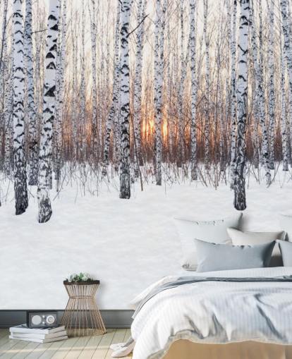 Snowy Birch Tree Woodland com papel de parede do sol Snowy Birch Tree Woodland com papel de parede do sol