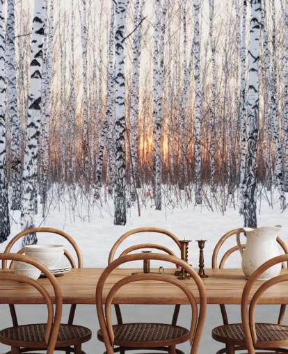 Snowy Birch Tree Woodland con carta da parati tramonto Snowy Birch Tree Woodland con carta da parati tramonto