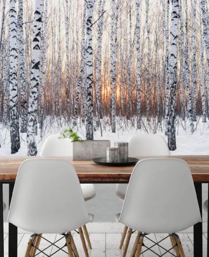 Bosque de abedules nevados con papel tapiz de puesta de sol