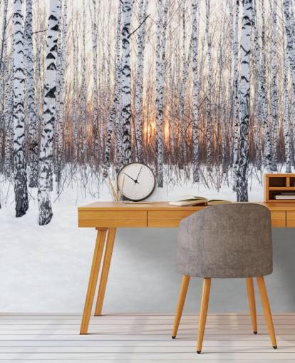 Besneeuwde berkenboom bos met zonsondergang behang Besneeuwde berkenboom bos met zonsondergang behang