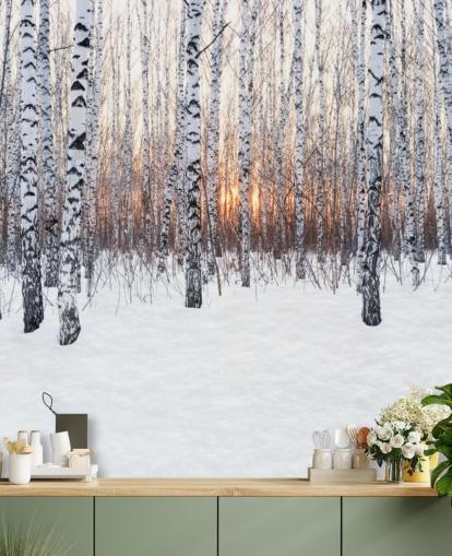 Snöig björk skogsmark med solnedgång Bakgrund Snöig björk skogsmark med solnedgång Bakgrund