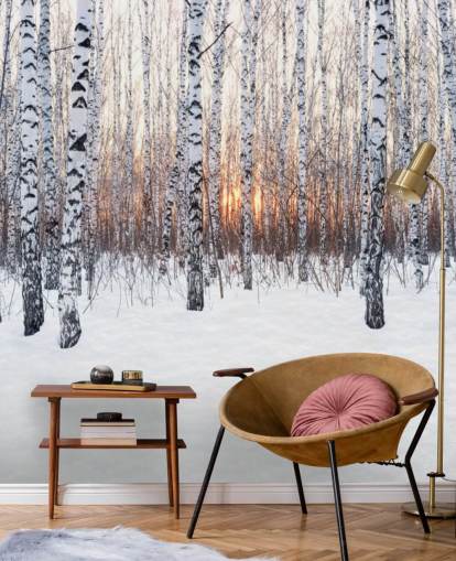 Snowy Birch Tree Woodland med Sunset Bakgrunn