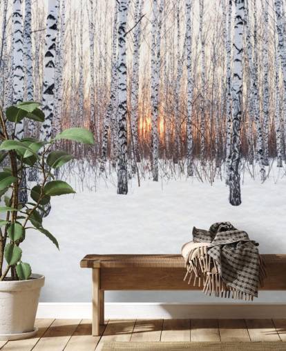 Bosque de abedules nevados con papel tapiz de puesta de sol