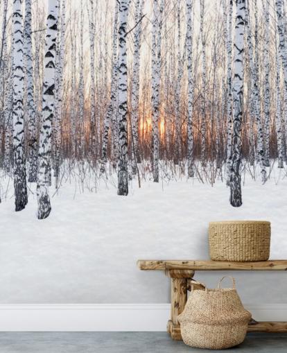 Forêt de bouleaux enneigés avec papier peint coucher de soleil