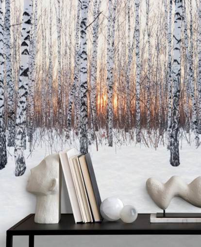 Forêt de bouleaux enneigés avec papier peint coucher de soleil