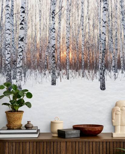 Snowy Birch Tree Woodland with Sunset Wallpaper Snowy Birch Tree Woodland with Sunset Wallpaper