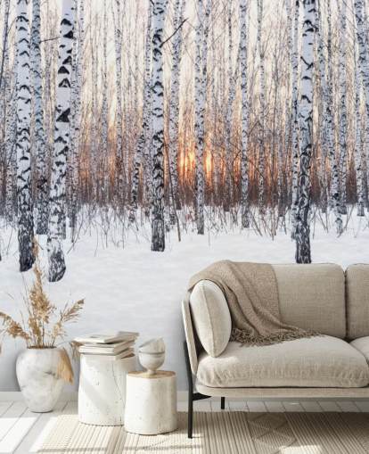 Luminen koivu puu metsä auringonlaskun taustakuva