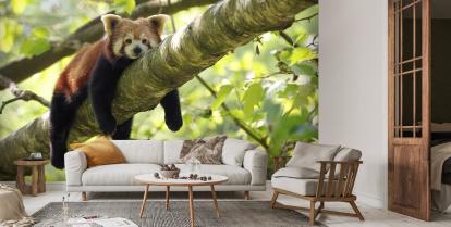 invoegen middelen Verkleuren Moe rode panda muurschildering | Wallsauce NL