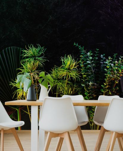 Moonlit Tropical Plants