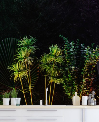 Plantes tropicales au clair de lune