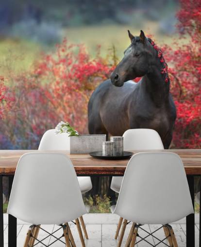Black Horse Surrounded by Red Berry Bushes and Berries in Mane Wall Mural Black Horse Surrounded by Red Berry Bushes and Berries in Mane Wall Mural