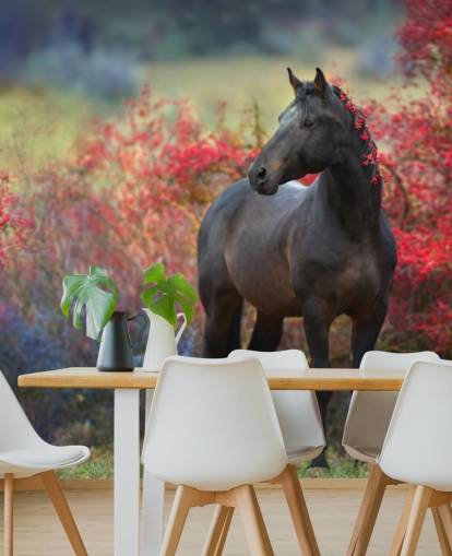 Black Horse Surrounded by Red Berry Bushes and Berries in Mane Wall Mural