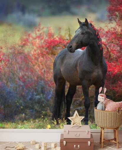 Black Horse Surrounded by Red Berry Bushes and Berries in Mane Wall Mural Black Horse Surrounded by Red Berry Bushes and Berries in Mane Wall Mural