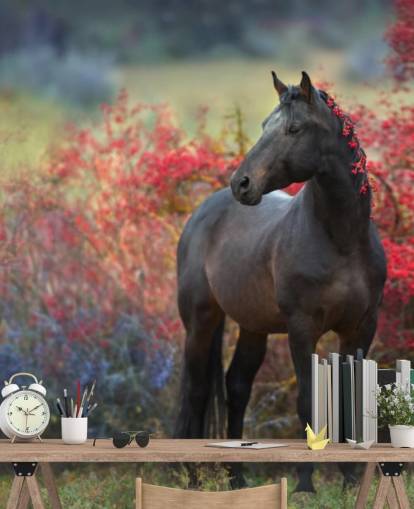 Black Horse Surrounded by Red Berry Bushes and Berries in Mane Wall Mural Black Horse Surrounded by Red Berry Bushes and Berries in Mane Wall Mural