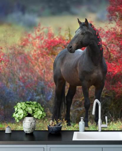 Mural de pared Caballo negro rodeado de arbustos de frutos rojos y bayas en melena