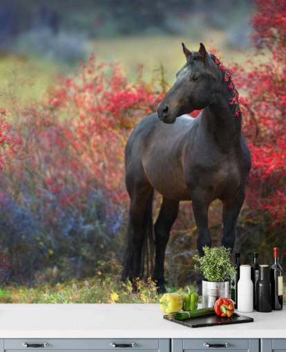 Schwarzes Pferd umgeben von roten Beerensträuchern und Beeren in der Mähne Fototapete