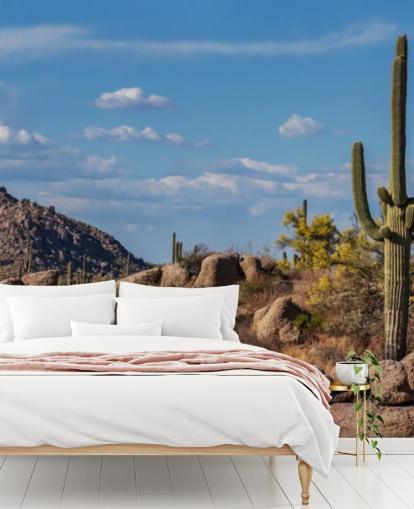 Cactus dans un paysage poussiéreux avec fond d'écran de montagne