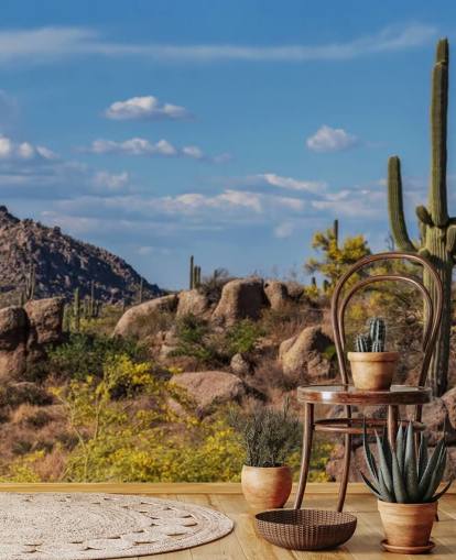Cactus in Dusty Landscape with Mountain Background Wallpaper