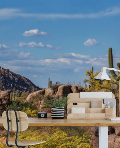 Cactus in Dusty Landscape with Mountain Background Wallpaper