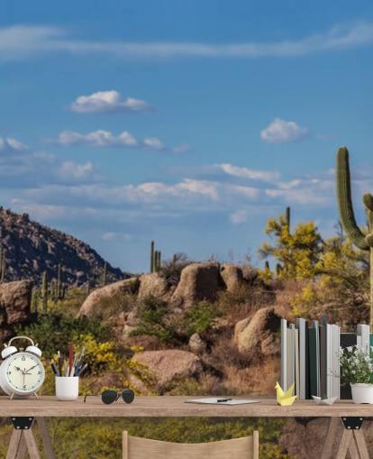 Cactus dans un paysage poussiéreux avec fond d'écran de montagne