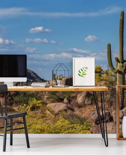 Cactus in Dusty Landscape with Mountain Background Wallpaper