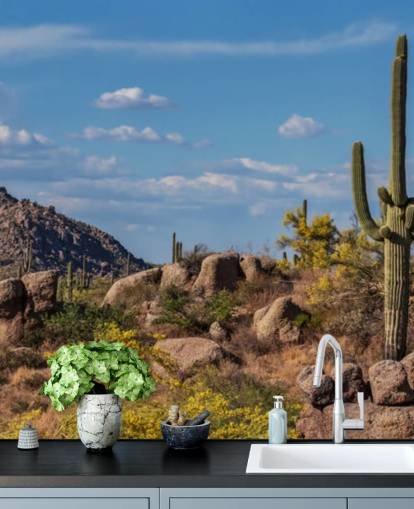 Cactus in stoffig landschap met bergachtergrondbehang