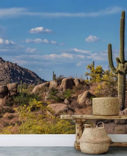 Cactus in Dusty Landscape with Mountain Background Wallpaper