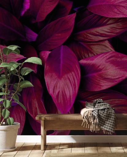 Papier Peint Feuilles Violettes Papier Peint Feuilles Violettes