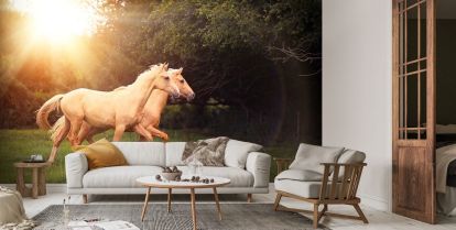 Palomino Horses Wallpaper | Wallsauce EU