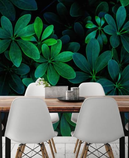 Papel de parede de folhas tropicais verdes fotografadas